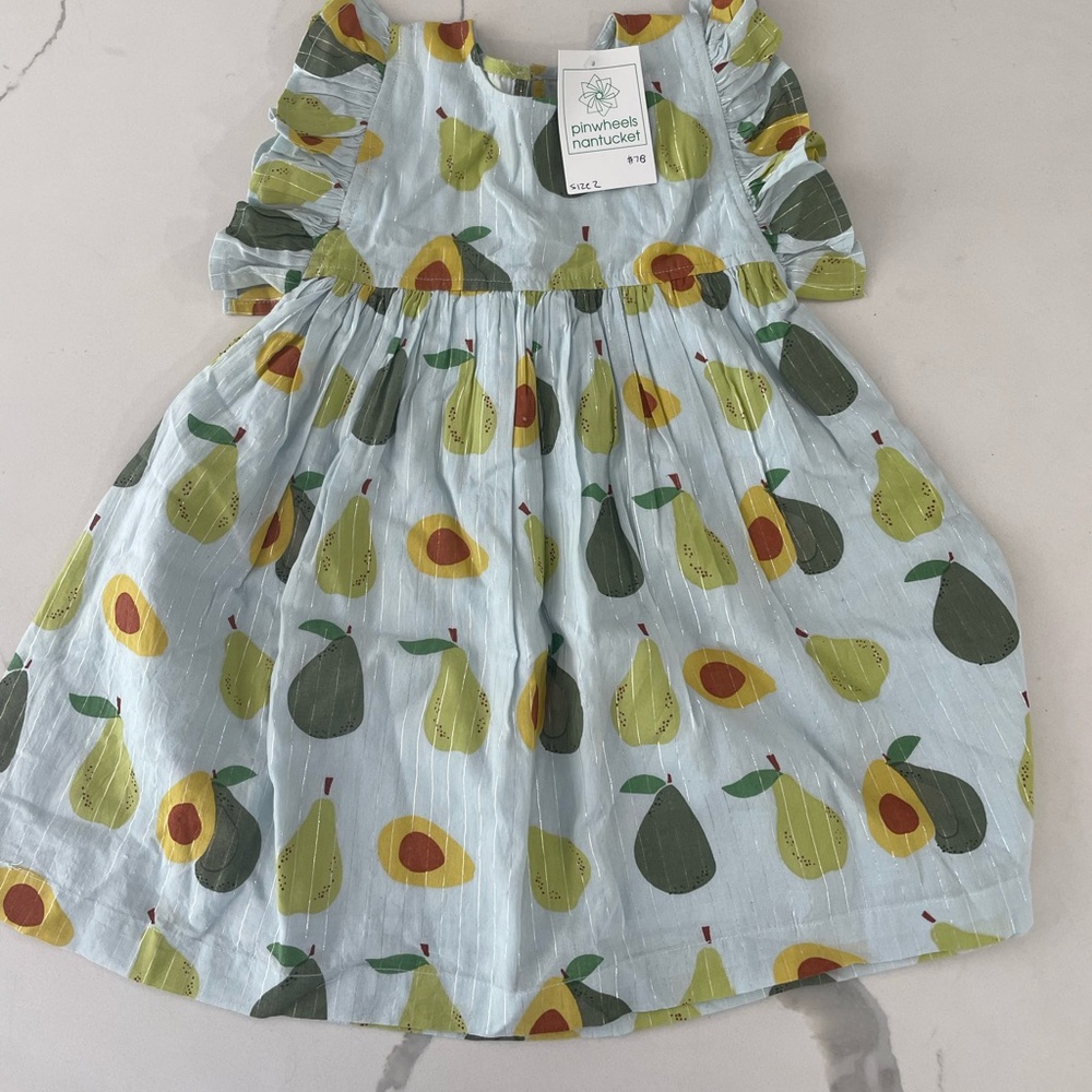 Pink chicken 2T dress w tags